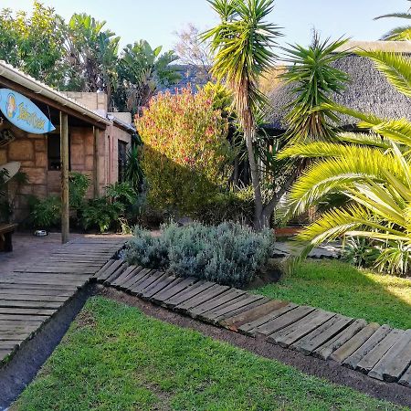 Saltycrax Backpackers And Surf Hostel By Curiocity Блаубергстранд Экстерьер фото