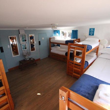 Saltycrax Backpackers And Surf Hostel By Curiocity Блаубергстранд Экстерьер фото