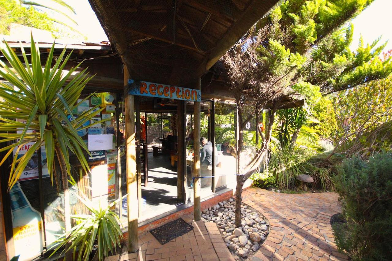 Saltycrax Backpackers And Surf Hostel By Curiocity Блаубергстранд Экстерьер фото